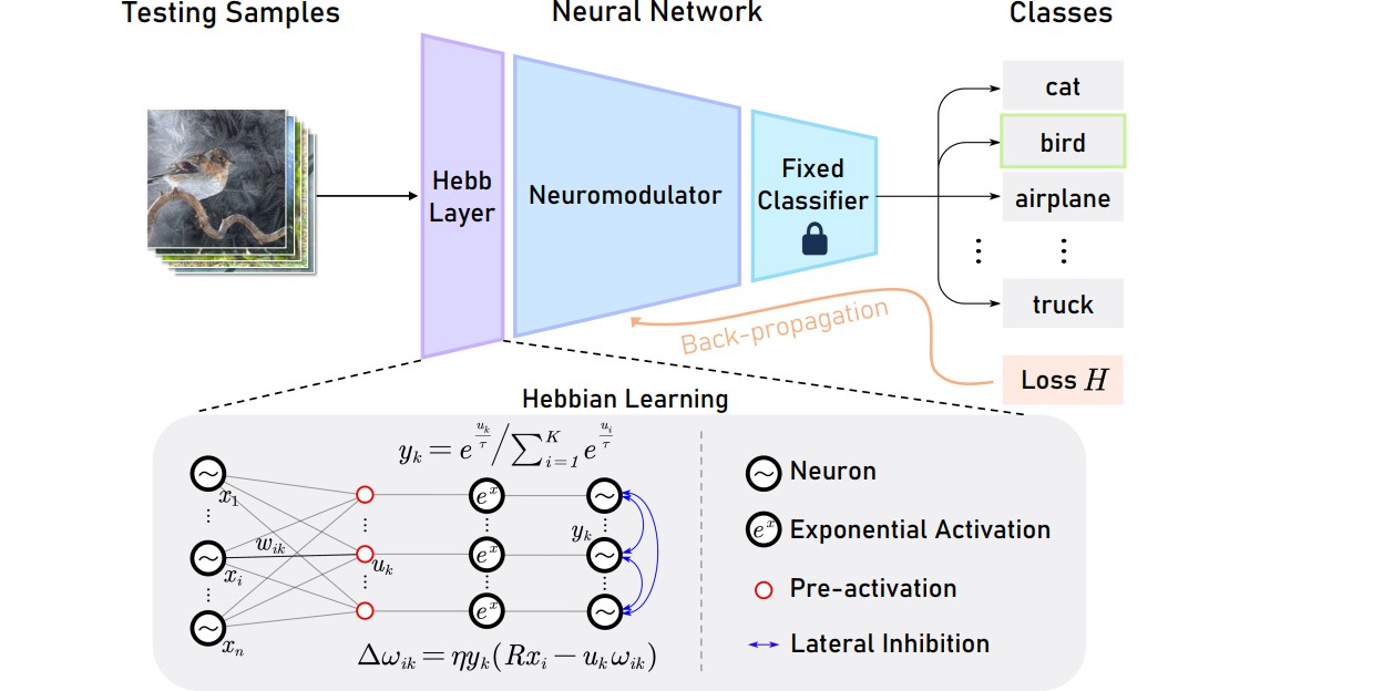 cvpr2023_tta